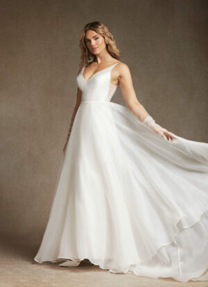 Elegant A-Line Wedding Dress with V-Neck & V-Back – Affordable & Customizable