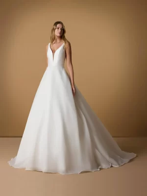 V-Neck A-Line Wedding Dress in Organza