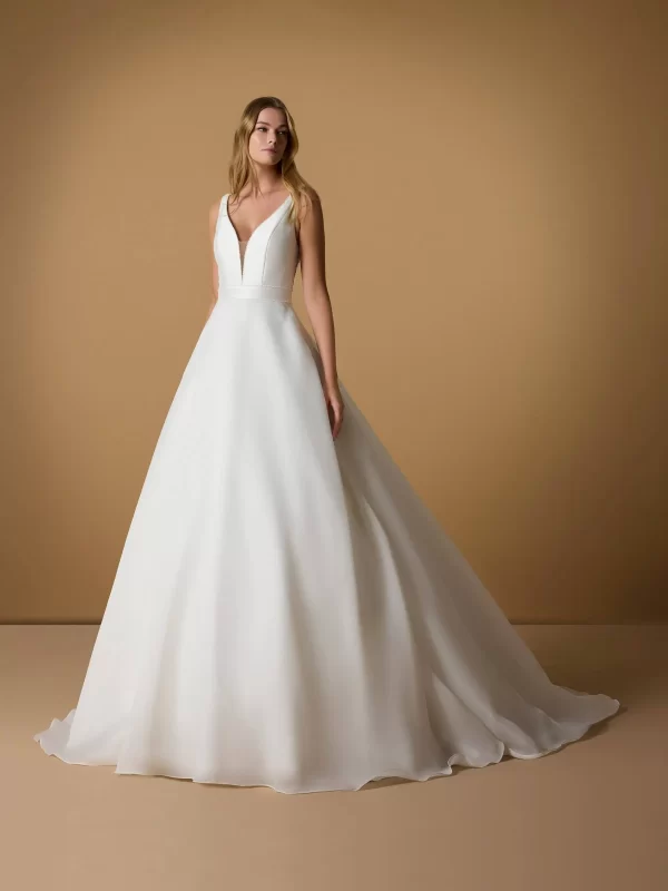 V-Neck A-Line Wedding Dress in Organza