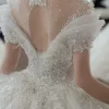 Plus Size Luxe French Gown